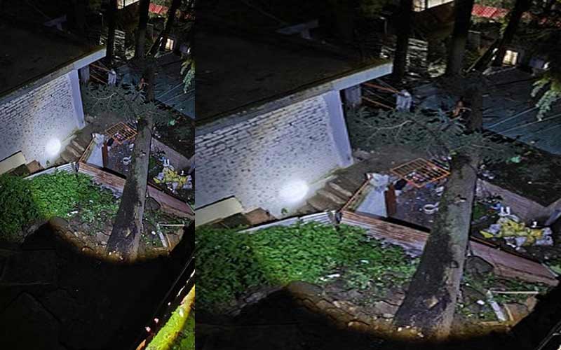 Himachal News Update: रिहायशी इलाके में गिरा पेड़! लोगों ने भाग कर बचाई जान, दो मकानों को नुकसान