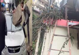Himachal Weather: हिमाचल में भवन की छत पर गिरा पेड़! पत्थर गिरने से सड़क किनारे खड़ी गाडी चकनाचूर