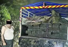 Himachal Latest News: हिमाचल में लकड़ी की तस्करी का भंडाफोड़! पिकअप से लाखों के स्लीपर पकड़े