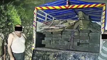 Himachal Latest News: हिमाचल में लकड़ी की तस्करी का भंडाफोड़! पिकअप से लाखों के स्लीपर पकड़े