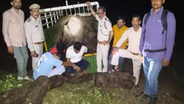 Himachal News: हिमाचल में लकड़ी की तस्करी का पर्दाफाश! पिकअप से पकड़े खैर के मौछे, लाखों में कीमत