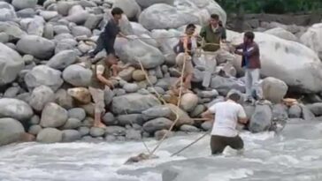 Himachal News Alert: युवक ने ब्यास नदी में लगाईं छलांग! घटनास्थल से एक किलोमीटर दूर मिला शव