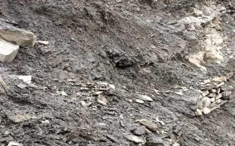 Himachal News Alert: लैंडस्लाइड होने से मलबे में दबी 150 भेड़-बकरियां! भेड़पालक घायल Himachal News Alert: लैंडस्लाइड होने से मलबे में दबी 150 भेड़-बकरियां! भेड़पालक घायल