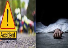 Accident In Himachal: राजस्थान से मदारी का खेल दिखाने आए व्यक्ति के साथ हादसा! गाड़ी की टक्कर से गई जान