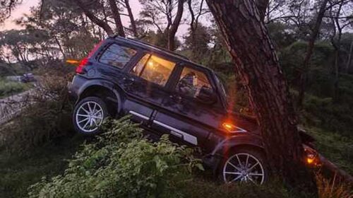 Accident In Himachal: हिमाचल में पेड़ से टकराई पंजाब नंबर की स्कॉर्पियो! घायल युवकों से पिस्टल सहित दो मैगजीन बरामद Accident In Himachal: हिमाचल में पेड़ से टकराई पंजाब नंबर की स्कॉर्पियो! घायल युवकों से पिस्टल सहित दो मैगजीन बरामद