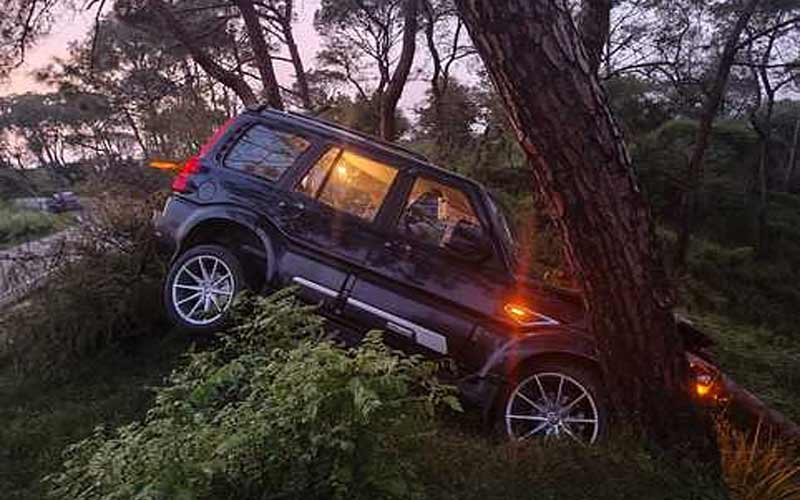 Accident In Himachal: हिमाचल में पेड़ से टकराई पंजाब नंबर की स्कॉर्पियो! घायल युवकों से पिस्टल सहित दो मैगजीन बरामद