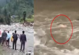 Himachal Latest News: पुलिया से उफनती खड्ड में गिरा व्यक्ति! गई जान, डेढ़ माह पहले मलबे में दबने से भाई की हुई थी मौत