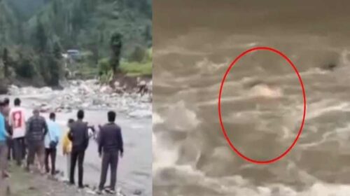 Himachal Latest News: पुलिया से उफनती खड्ड में गिरा व्यक्ति! गई जान, डेढ़ माह पहले मलबे में दबने से भाई की हुई थी मौत Himachal Latest News: पुलिया से उफनती खड्ड में गिरा व्यक्ति! गई जान, डेढ़ माह पहले मलबे में दबने से भाई की हुई थी मौत