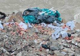 Accident In Himachal: ब्यास नदी में समाया सेब से लदा मालवाहक! पुलिस सहित एसडीआरएफ ने चलाया सर्च अभियान