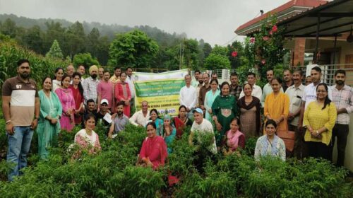 Sirmour News: कृषि विज्ञान केंद्र सिरमौर में सीआरपी के लिए आयोजित प्राकृतिक खेती प्रशिक्षण शिविर का समापन Sirmour News: कृषि विज्ञान केंद्र सिरमौर में सीआरपी के लिए आयोजित प्राकृतिक खेती प्रशिक्षण शिविर का समापन
