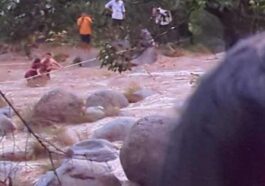 Himachal News Alert: उफनती खड्ड में मवेशियों समेत फंसा दंपत्ति! रेस्क्यू ऑपरेशन चलाकर निकाला सुरक्षित