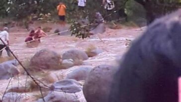 Himachal News Alert: उफनती खड्ड में मवेशियों समेत फंसा दंपत्ति! रेस्क्यू ऑपरेशन चलाकर निकाला सुरक्षित