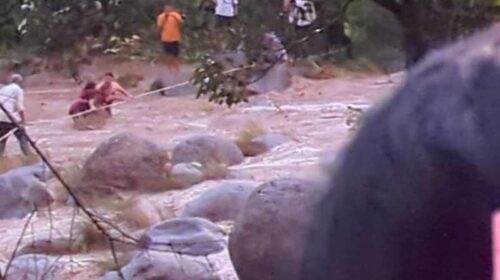 Himachal News Alert: उफनती खड्ड में मवेशियों समेत फंसा दंपत्ति! रेस्क्यू ऑपरेशन चलाकर निकाला सुरक्षित