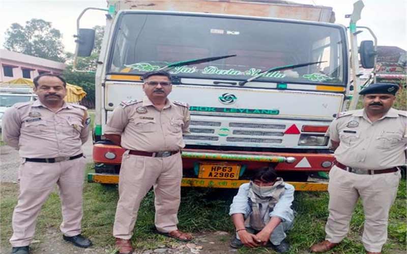Accident In Himachal: हिमाचल में गोवंश की तस्करी का पर्दाफाश! ड्राइवर अरेस्ट, दो आरोपी फरार
