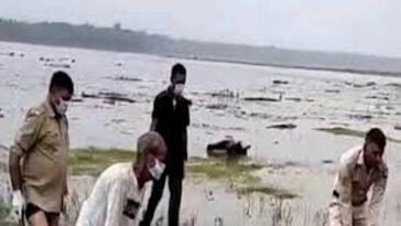 Himachal News Update: पौंग झील से मिला शव! लोगों में हड़कंप, अभी तक नहीं हुई शिनाख्त