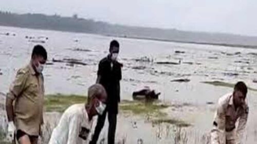 Himachal News Update: पौंग झील से मिला शव! लोगों में हड़कंप, अभी तक नहीं हुई शिनाख्त Himachal News Update: पौंग झील से मिला शव! लोगों में हड़कंप, अभी तक नहीं हुई शिनाख्त