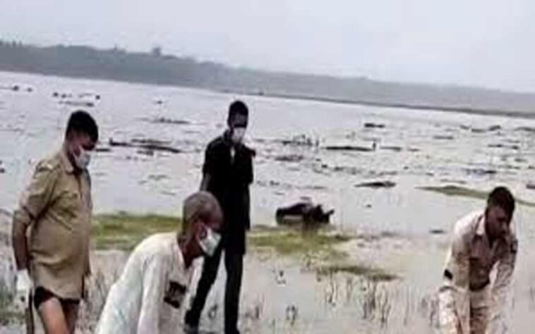 Himachal News Update: पौंग झील से मिला शव! लोगों में हड़कंप, अभी तक नहीं हुई शिनाख्त Himachal News Update: पौंग झील से मिला शव! लोगों में हड़कंप, अभी तक नहीं हुई शिनाख्त