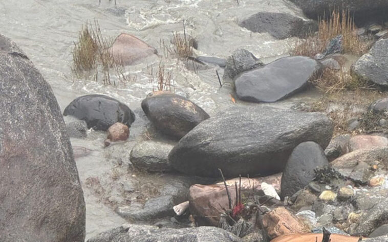 Himachal News Alert: नदी किनारे पत्थरों के बीच फंसा मिला शव! पानी से फूली थी डेड बॉडी Himachal News Alert: नदी किनारे पत्थरों के बीच फंसा मिला शव! पानी से फूली थी डेड बॉडी