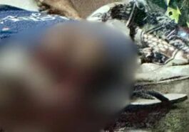 हिमाचल में बड़ी वारदात: पूर्व उपप्रधान के भाई की गोली मारकर हत्या! सिर धड़ से किया अलग