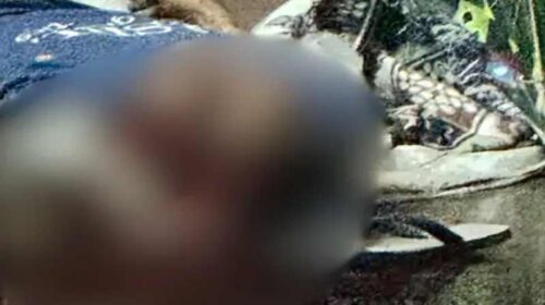 हिमाचल में बड़ी वारदात: पूर्व उपप्रधान के भाई की गोली मारकर हत्या! सिर धड़ से किया अलग