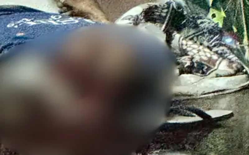 हिमाचल में बड़ी वारदात: पूर्व उपप्रधान के भाई की गोली मारकर हत्या! सिर धड़ से किया अलग