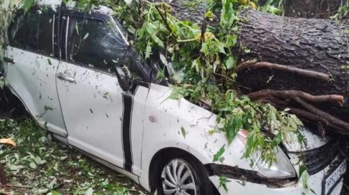 Heavy Rain In Himachal: हिमाचल में भारी बारिश का दौर जारी! कई जगह लैंडस्लाइड, मलबे में दबी गाड़ियां Heavy Rain In Himachal: हिमाचल में भारी बारिश का दौर जारी! कई जगह लैंडस्लाइड, मलबे में दबी गाड़ियां