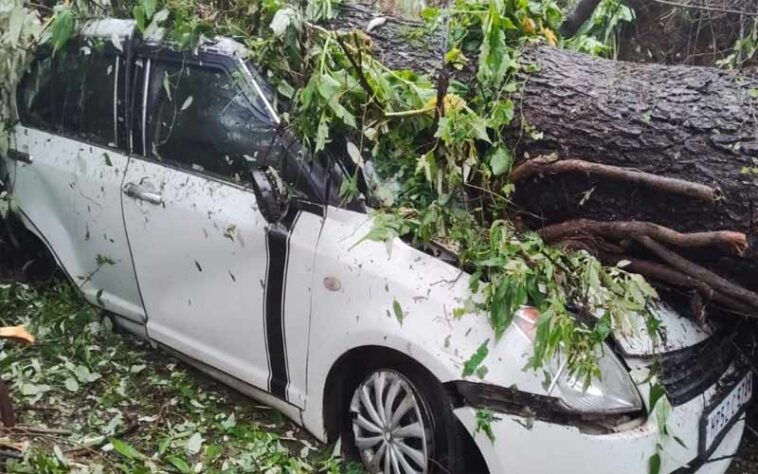Heavy Rain In Himachal: हिमाचल में भारी बारिश का दौर जारी! कई जगह लैंडस्लाइड, मलबे में दबी गाड़ियां