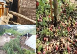 Monsoon Season: लैंडस्लाइड से घर क्षतिग्रस्त! अपने ही आशियाने छोड़ने को मजबूर हुए लोग, सेब को करोड़ों का नुकसान