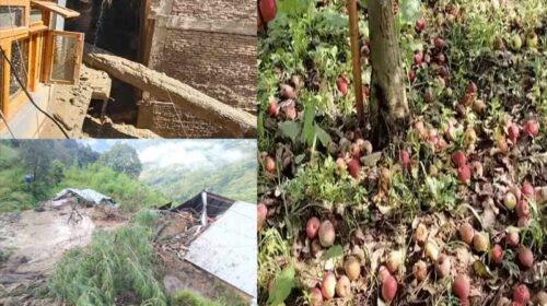 Monsoon Season: लैंडस्लाइड से घर क्षतिग्रस्त! अपने ही आशियाने छोड़ने को मजबूर हुए लोग, सेब को करोड़ों का नुकसान Monsoon Season: लैंडस्लाइड से घर क्षतिग्रस्त! अपने ही आशियाने छोड़ने को मजबूर हुए लोग, सेब को करोड़ों का नुकसान