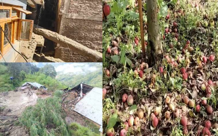 Monsoon Season: लैंडस्लाइड से घर क्षतिग्रस्त! अपने ही आशियाने छोड़ने को मजबूर हुए लोग, सेब को करोड़ों का नुकसान