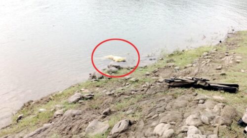 HP News Alert: तीन दिन से लापता चल रही 17 वर्षीय किशोरी का डैम से मिला शव! 12वीं कक्षा की छात्रा थी मनीषा