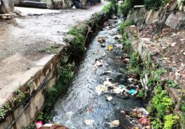 पांवटा साहिब के वार्ड 5-7 में बदहाल हालात! गंदगी और बीमारियों से जूझ रहे लोग