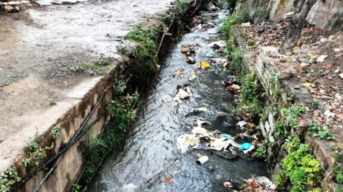 पांवटा साहिब के वार्ड 5-7 में बदहाल हालात! गंदगी और बीमारियों से जूझ रहे लोग पांवटा साहिब के वार्ड 5-7 में बदहाल हालात! गंदगी और बीमारियों से जूझ रहे लोग