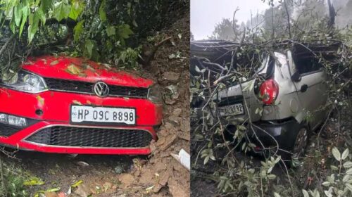 Himachal News Update: शिमला में जगह-जगह लैंडस्लाइड! आधा दर्जन पेड़ गिरने से कई गाड़ियां चकनाचूर Himachal News Update: शिमला में जगह-जगह लैंडस्लाइड! आधा दर्जन पेड़ गिरने से कई गाड़ियां चकनाचूर