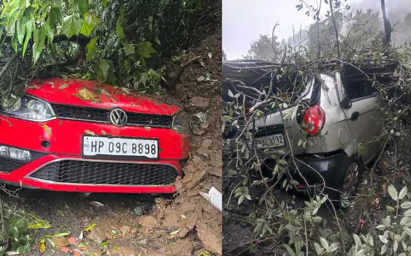 Himachal News Update: शिमला में जगह-जगह लैंडस्लाइड! आधा दर्जन पेड़ गिरने से कई गाड़ियां चकनाचूर
