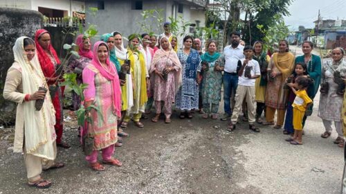 Paonta Sahib: “मेरा गाँव मेरा देश” एक सहारा संस्था ने फतेहपुर में महिलाओं को वितरित किए फलदार पौधे Paonta Sahib: “मेरा गाँव मेरा देश” एक सहारा संस्था ने फतेहपुर में महिलाओं को वितरित किए फलदार पौधे
