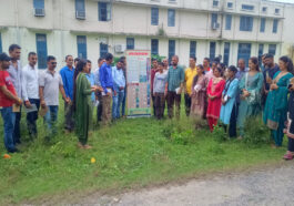 Sirmour News: बेहद हानिकारक है पार्थेनियम! फसल ही नहीं स्वास्थ्य को भी करता है प्रभावित