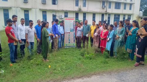 Sirmour News: बेहद हानिकारक है पार्थेनियम! फसल ही नहीं स्वास्थ्य को भी करता है प्रभावित Sirmour News: बेहद हानिकारक है पार्थेनियम! फसल ही नहीं स्वास्थ्य को भी करता है प्रभावित