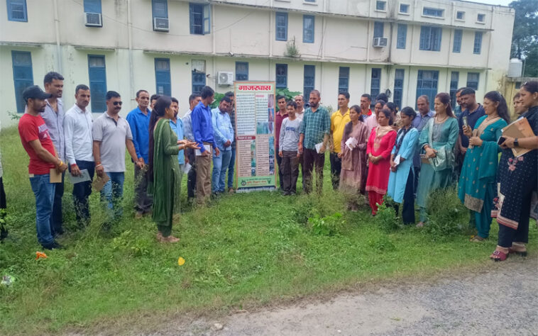 Sirmour News: बेहद हानिकारक है पार्थेनियम! फसल ही नहीं स्वास्थ्य को भी करता है प्रभावित