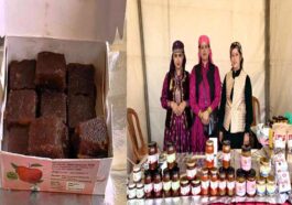 Himachal News: लोगों को खूब भा रही आर्गेनिक तरीके से बनी सेब की बर्फी! 325 रुपए में बिक रही Himachal News: लोगों को खूब भा रही आर्गेनिक तरीके से बनी सेब की बर्फी! 325 रुपए में बिक रही