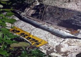 Accident In Himachal: खाई में गिरी सेब से लदी पिकअप! दो लोगों की मौत, ड्राइवर सहित दो जख्मी
