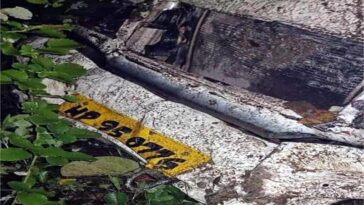 Accident In Himachal: खाई में गिरी सेब से लदी पिकअप! दो लोगों की मौत, ड्राइवर सहित दो जख्मी