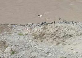 Accident In Himachal: सड़क से लुढ़क कर सतलुज नदी में गिरी पिकअप! चालक लापता