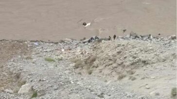 Accident In Himachal: सड़क से लुढ़क कर सतलुज नदी में गिरी पिकअप! चालक लापता