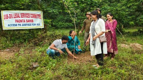 Paonta Sahib: सतीवाला में 800 पौधों का रोपण! हरियाली व पर्यावरण संरक्षण की ओर एक बड़ा कदम Paonta Sahib: सतीवाला में 800 पौधों का रोपण! हरियाली व पर्यावरण संरक्षण की ओर एक बड़ा कदम