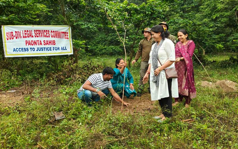 Paonta Sahib: सतीवाला में 800 पौधों का रोपण! हरियाली व पर्यावरण संरक्षण की ओर एक बड़ा कदम