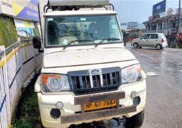 Himachal Crime News: पुलिस ने पिकअप से पकड़े आठ पशु! ठूंस-ठूंस कर भरे थे, चालक अरेस्ट