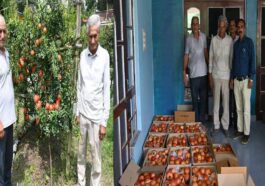 HP News: अनार की फसल ने बदली 44 किसानों की तकदीर! इस साल 60 मीट्रिक टन अनार उत्पादन का लक्ष्य