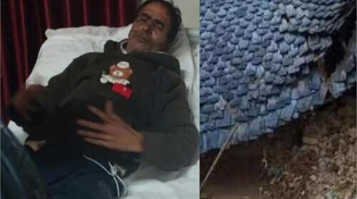 Himachal News Alert: रसोई घर में खाना बनाते गिरी छत! पति-पत्नी दबे, एक की मौत तो दूसरा गंभीर घायल Himachal News Alert: रसोई घर में खाना बनाते गिरी छत! पति-पत्नी दबे, एक की मौत तो दूसरा गंभीर घायल