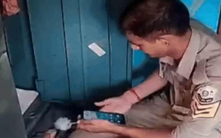 Himachal Crime News: घर के ताले तोड़ चोरों ने लगाई सेंध! अलमारी में रखी हजारों की नकदी पर किया हाथ साफ